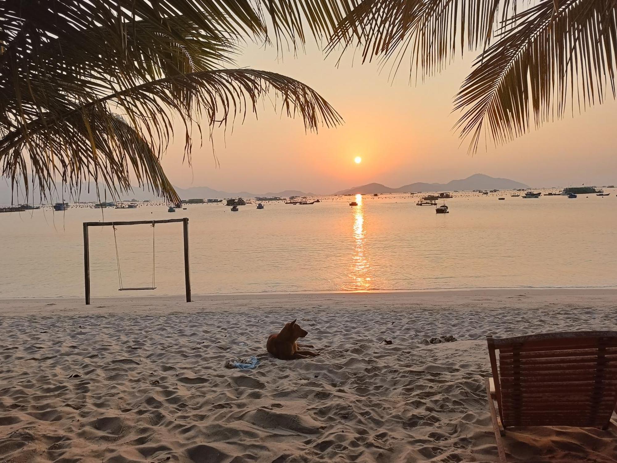 فندق The Sunrise Anh Tu كام رانه المظهر الخارجي الصورة
